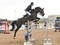 Joe Trunkfield and Claud Van Dam Triumph in the Final Redpost Equestrian Senior Foxhunter Second Round